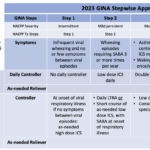 0-5 Stepwise Approach NAEPP-GINA 2023 Overlap